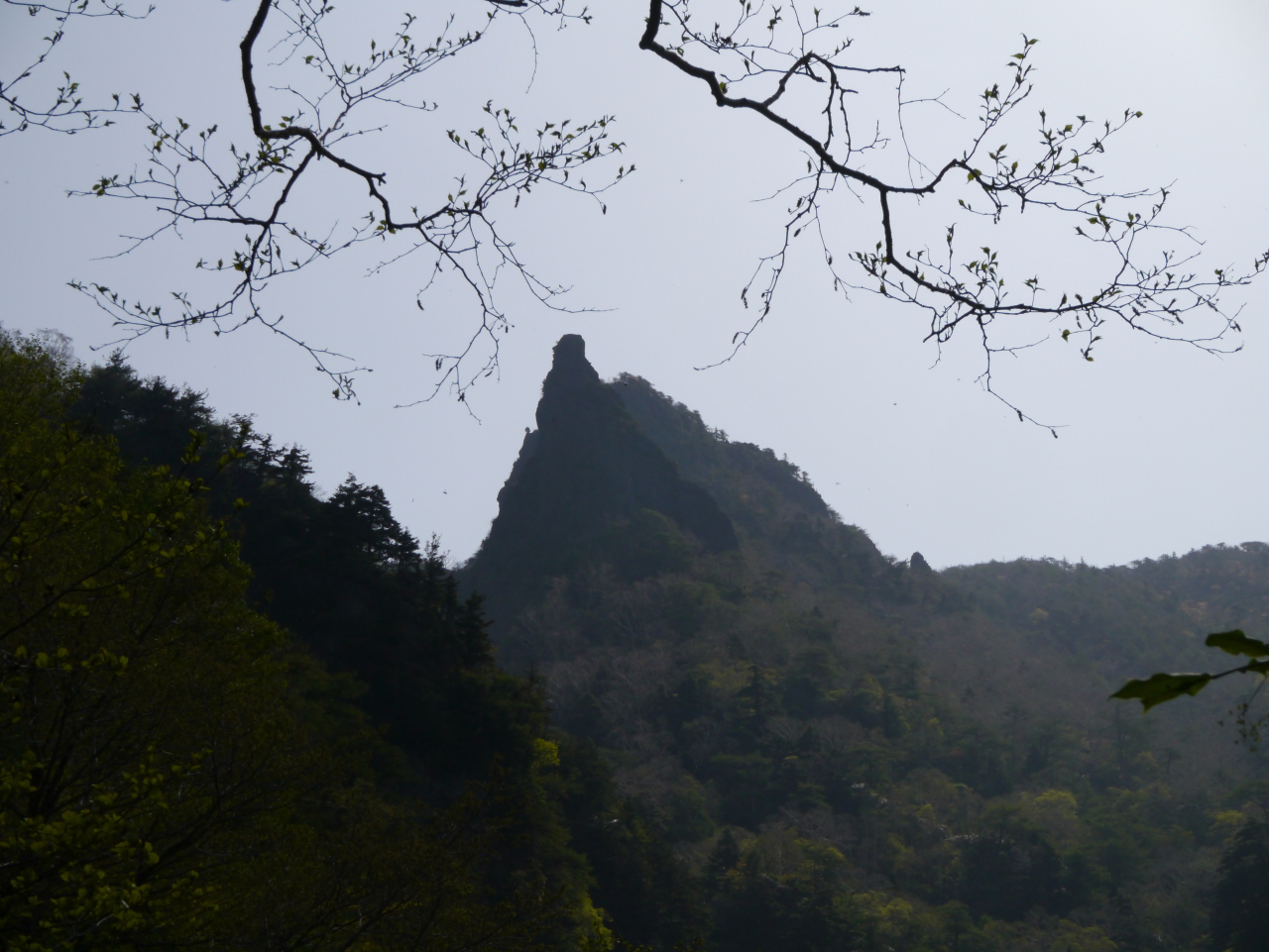 牙山（ぎっぱやま）が近付いて来ました
