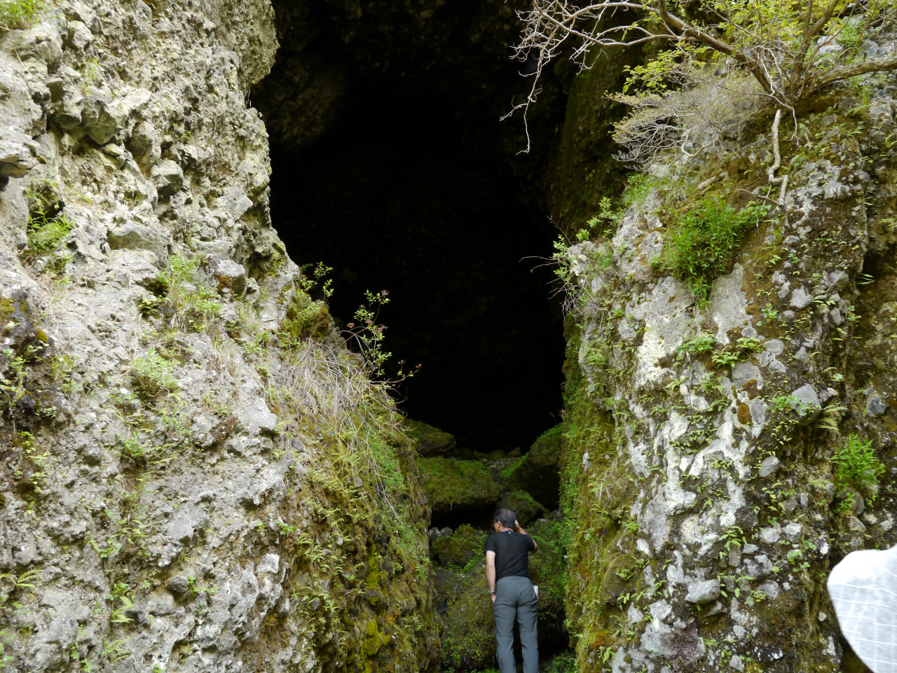 近くに行くとかなり大きい洞窟です