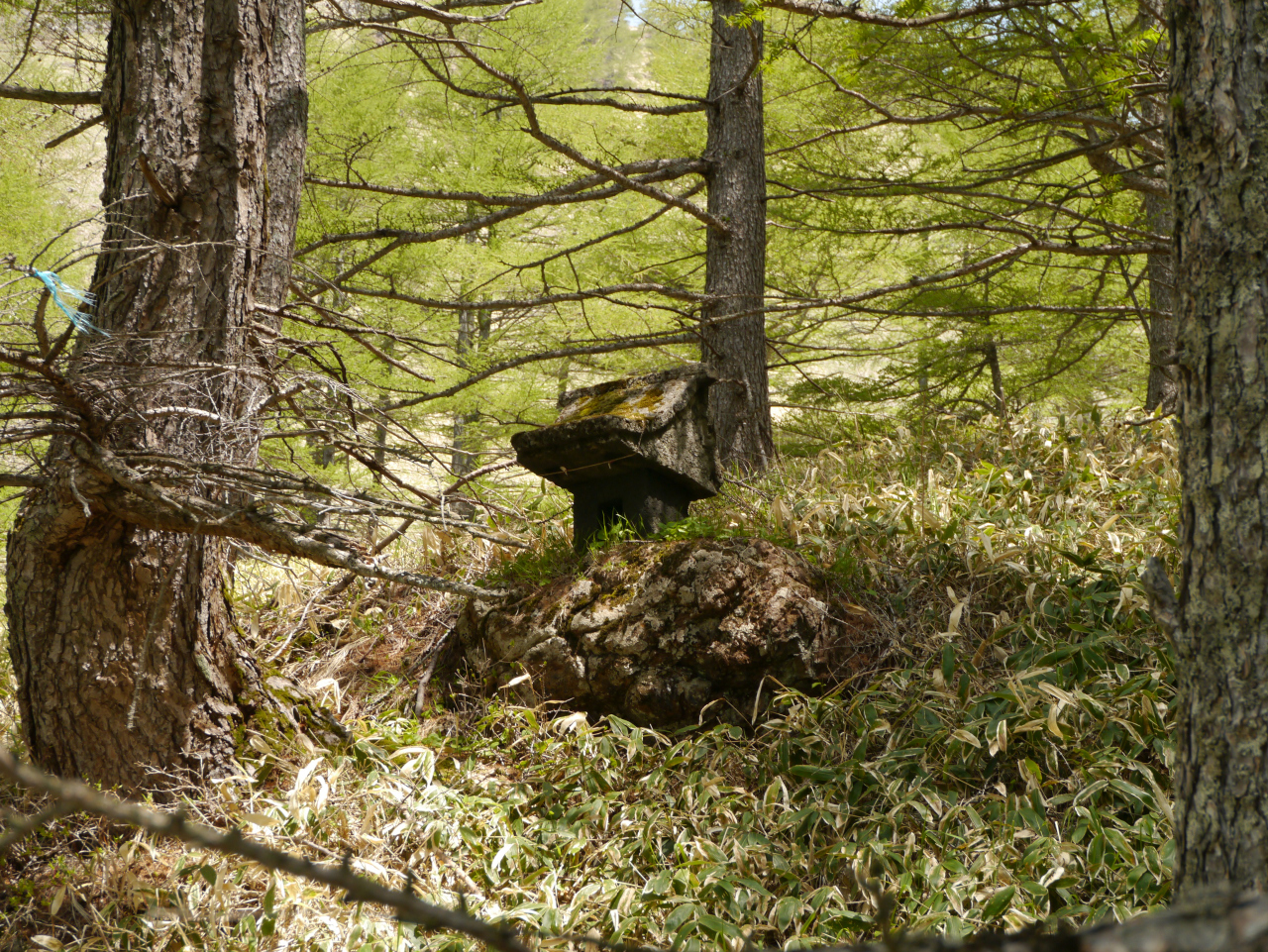 石祠
噴火で遭難して亡くなった人達の慰霊に建てられたそうです