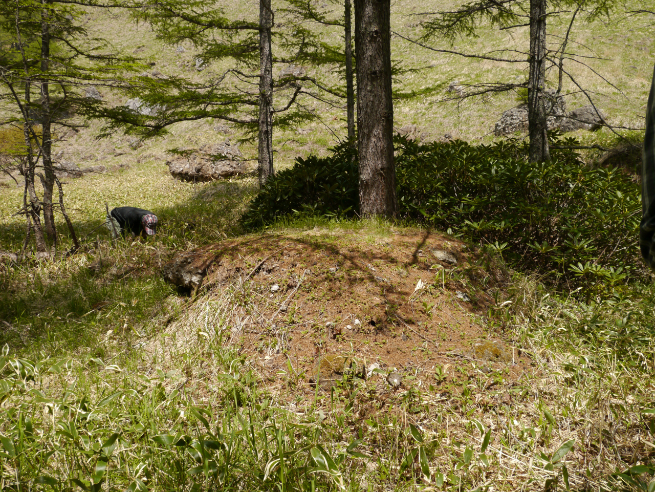 火山観測所跡
この岩の上に地震計が設置されていたそうです