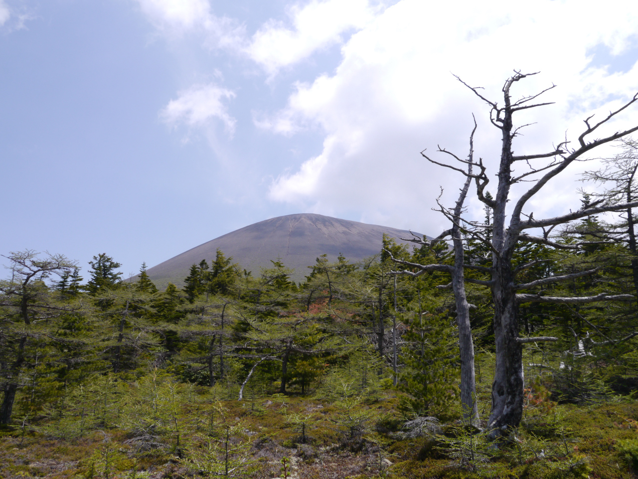 天狗の露地へ
火山館に荷物をデポし登山道を外れ10分ほどで天狗の露地へ移動しました
天狗が作った広い平らな場所と伝わっていて、訪れる登山者は少ないそうですが素晴らしい眺めが楽しめます
浅間山～剣ヶ峰～牙山～トーミの頭～黒斑山～蛇骨岳とぐるっと見渡せます
テン泊したら最高ですね～
この方向からの浅間山は初めて見ました