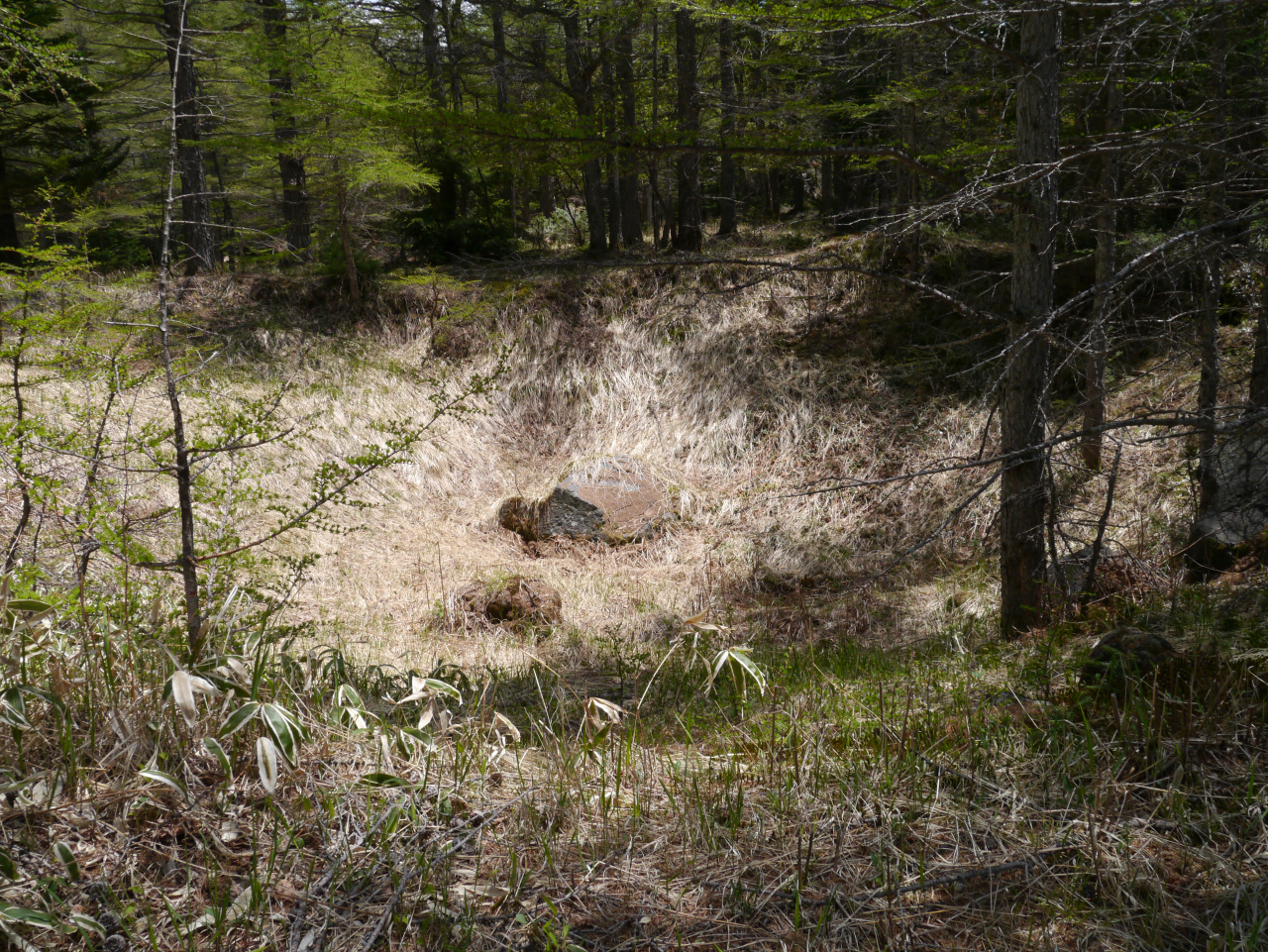 クレーター
噴石で出来たクレーター、岩がバラバラにはじけ飛んだ残りが中心の岩だそうです