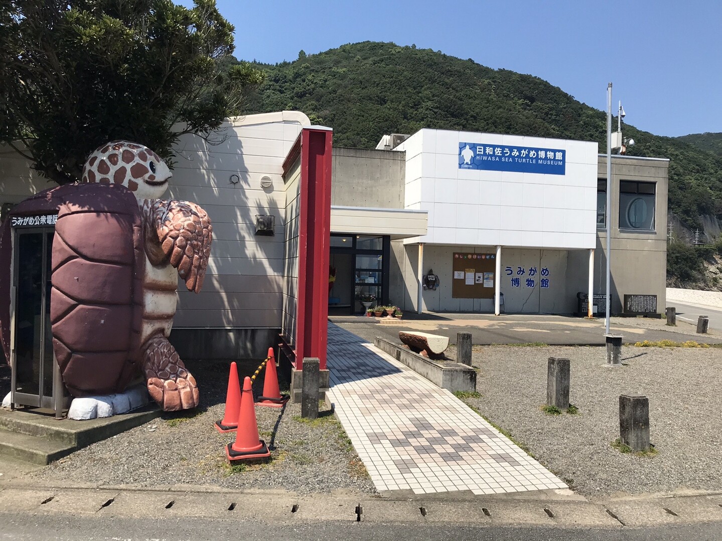 牟岐から室戸へ 海 魚 廃校 岬 Dmvの夏休み ふうすかさんの観光の活動日記 Yamap ヤマップ