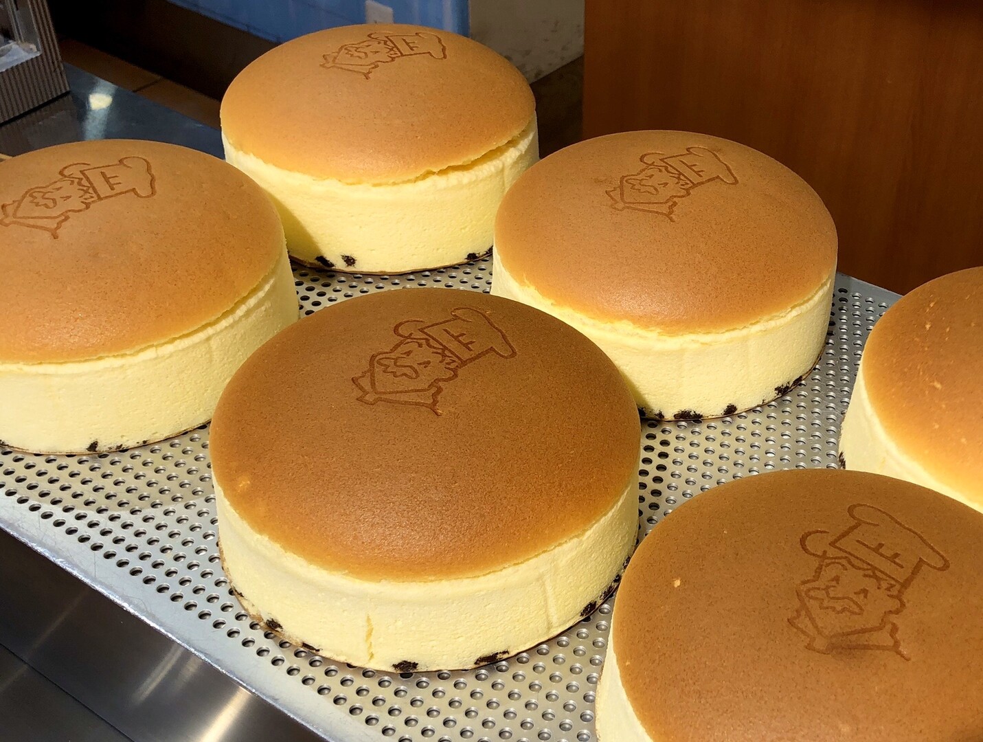 チーズケーキ食べたい んで鉢伏山 ヨシさんの竜王山 茨木市 阿武山の活動日記 Yamap ヤマップ