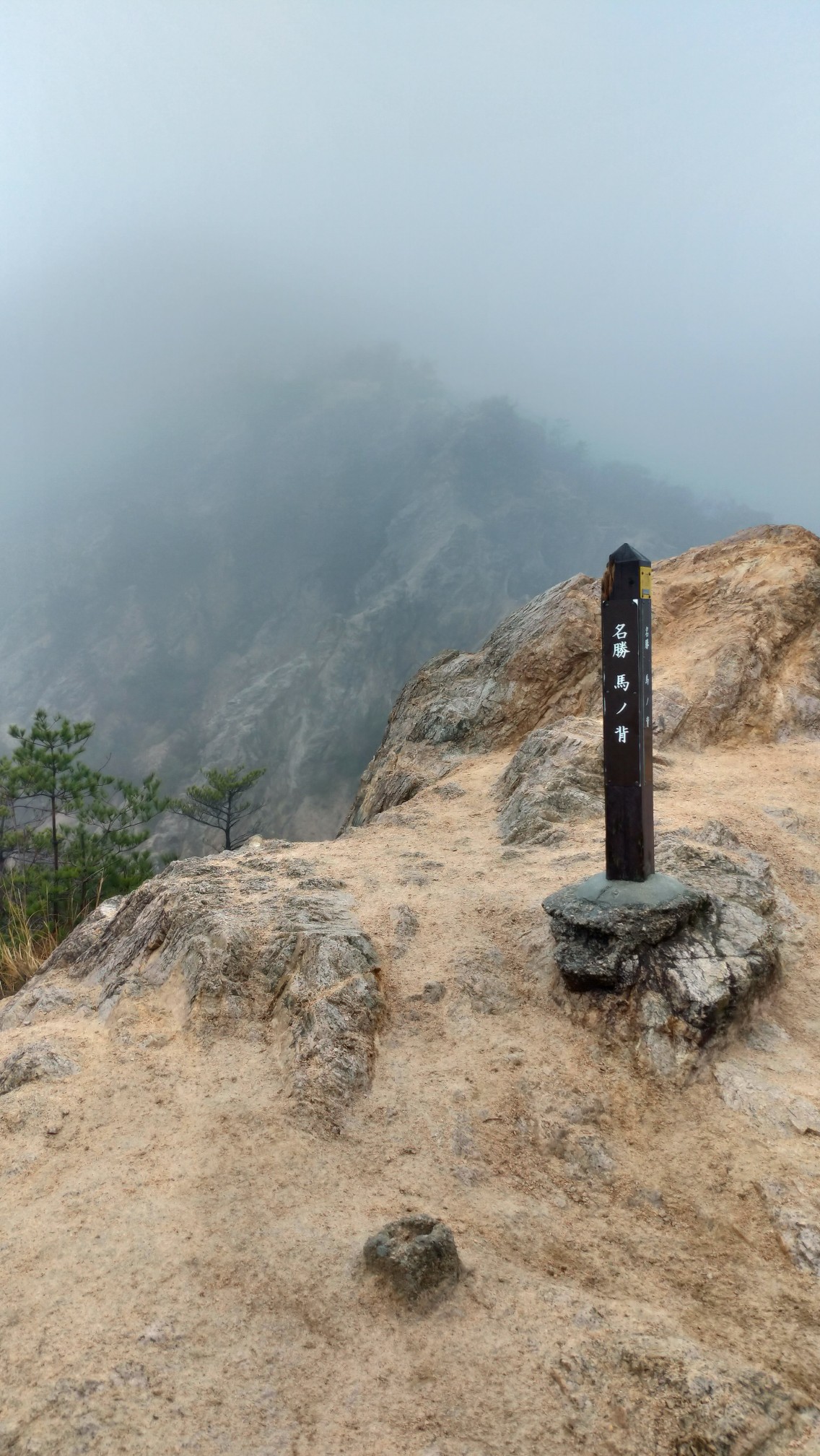 六甲縦走キャノンボールラン パワーの部 くおたあさんの六甲山 長峰山 摩耶山の活動データ Yamap ヤマップ