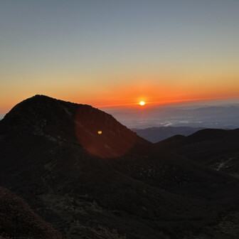 すっかり日の出🌅