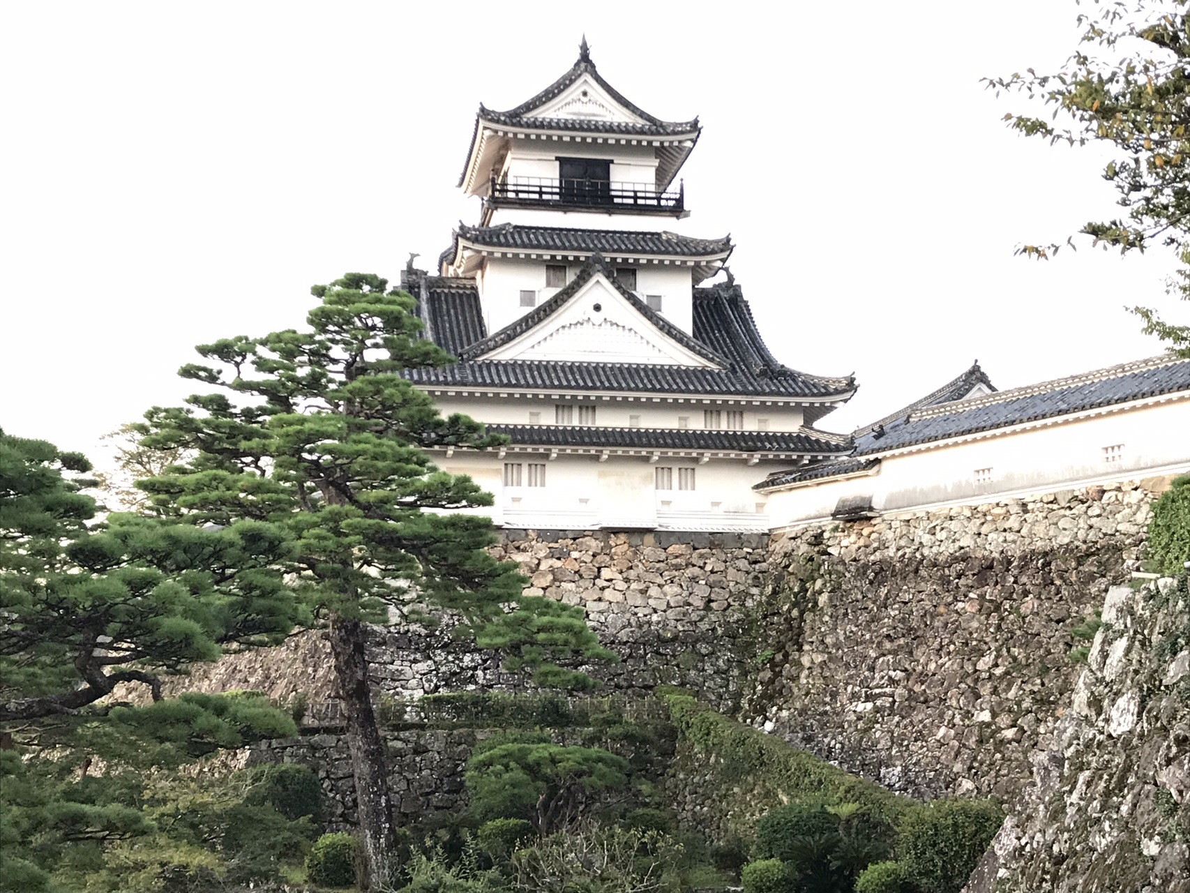 坂本龍馬脱藩の道 全ルート制覇の軌跡 しろぱかさんの高知市の活動日記 Yamap ヤマップ