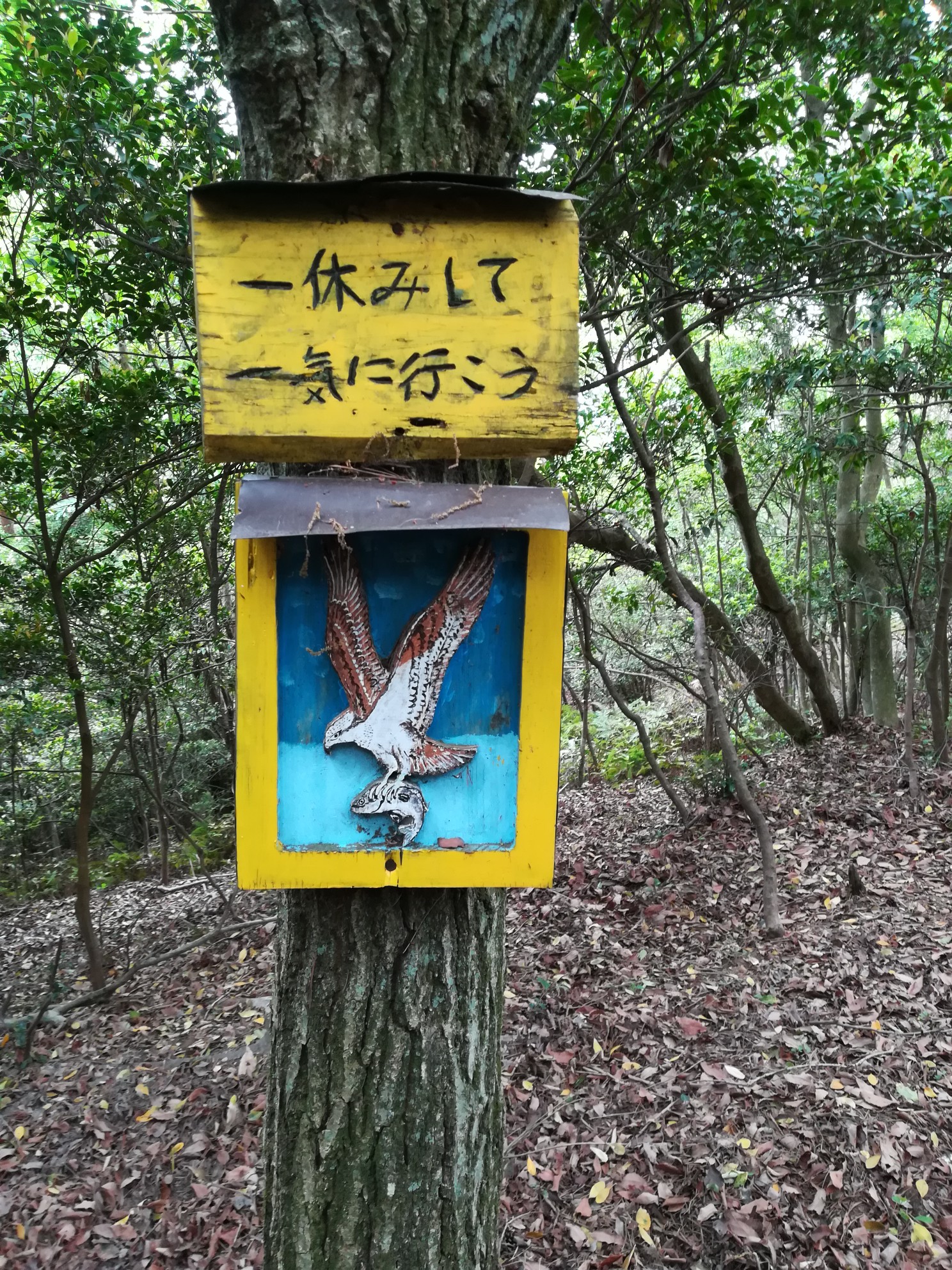 吉名鷹ノ巣山 野山 灘山 広島県竹原市 東広島市ー19 05 18 マコト 里山 登 さんの朝日山 鷹ノ巣山 広島県竹原市 の活動日記 Yamap ヤマップ