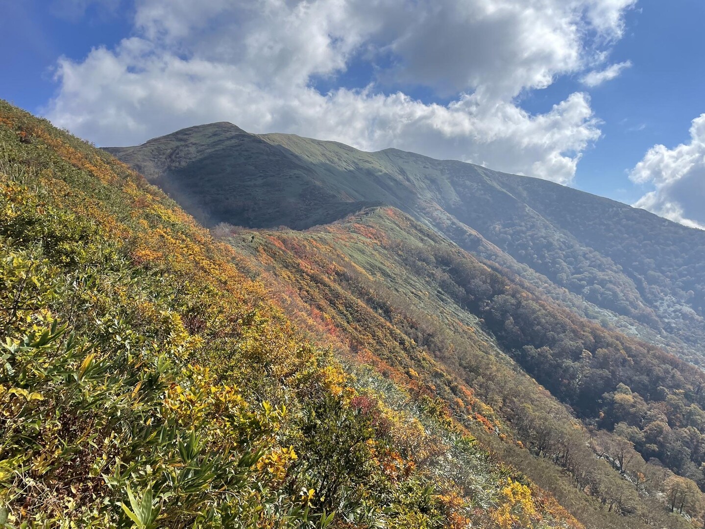 平標山 / ツツウラウラ🐰🔰さんの仙ノ倉山・平標山・大源太山の活動データ | YAMAP / ヤマップ