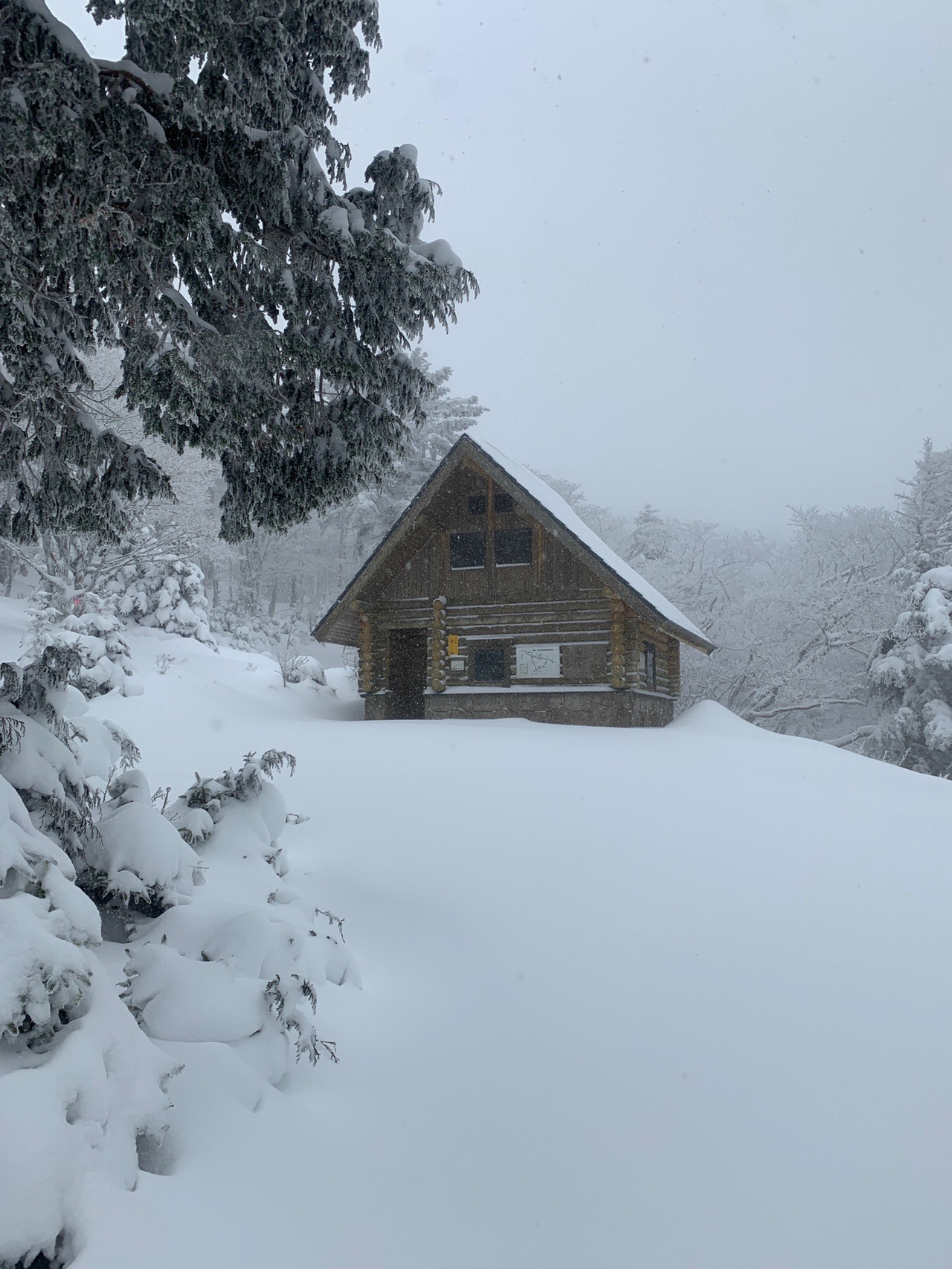 雪の狼平 しんさんの八経ヶ岳の活動データ Yamap ヤマップ