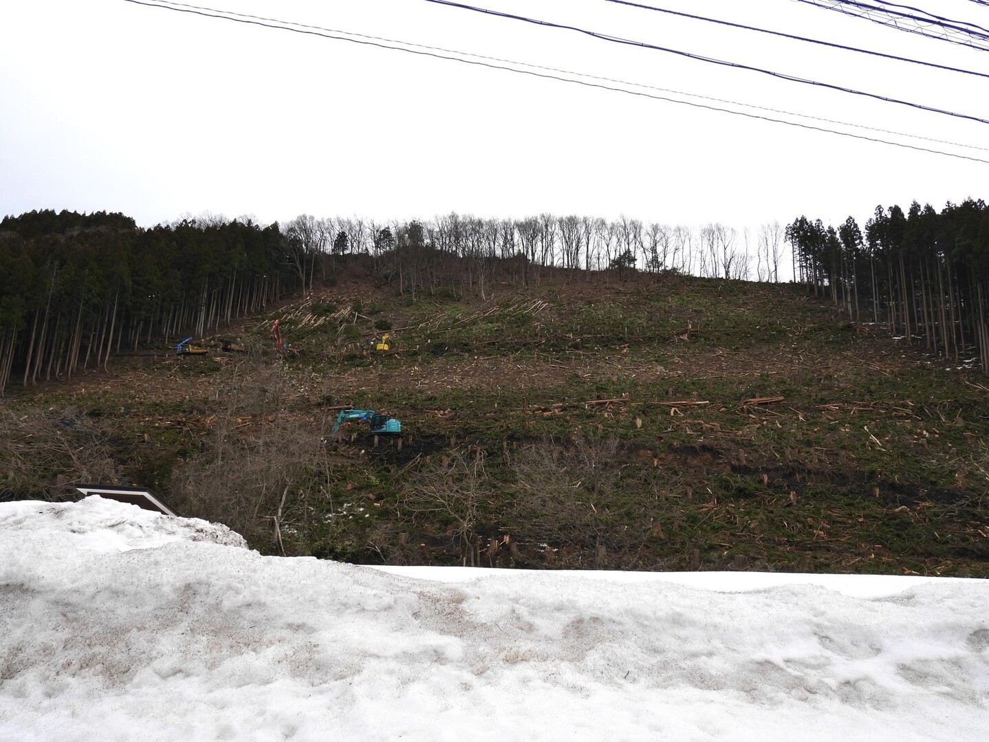与四兵衛山、山頂が見える勢いで伐採されて... / 山の民さんのモーメント YAMAP / ヤマップ