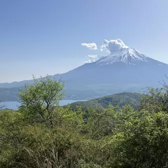 もちろん富士山も！