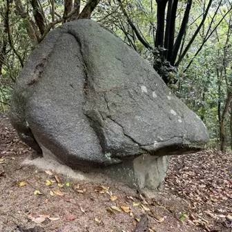 キノコ岩だって