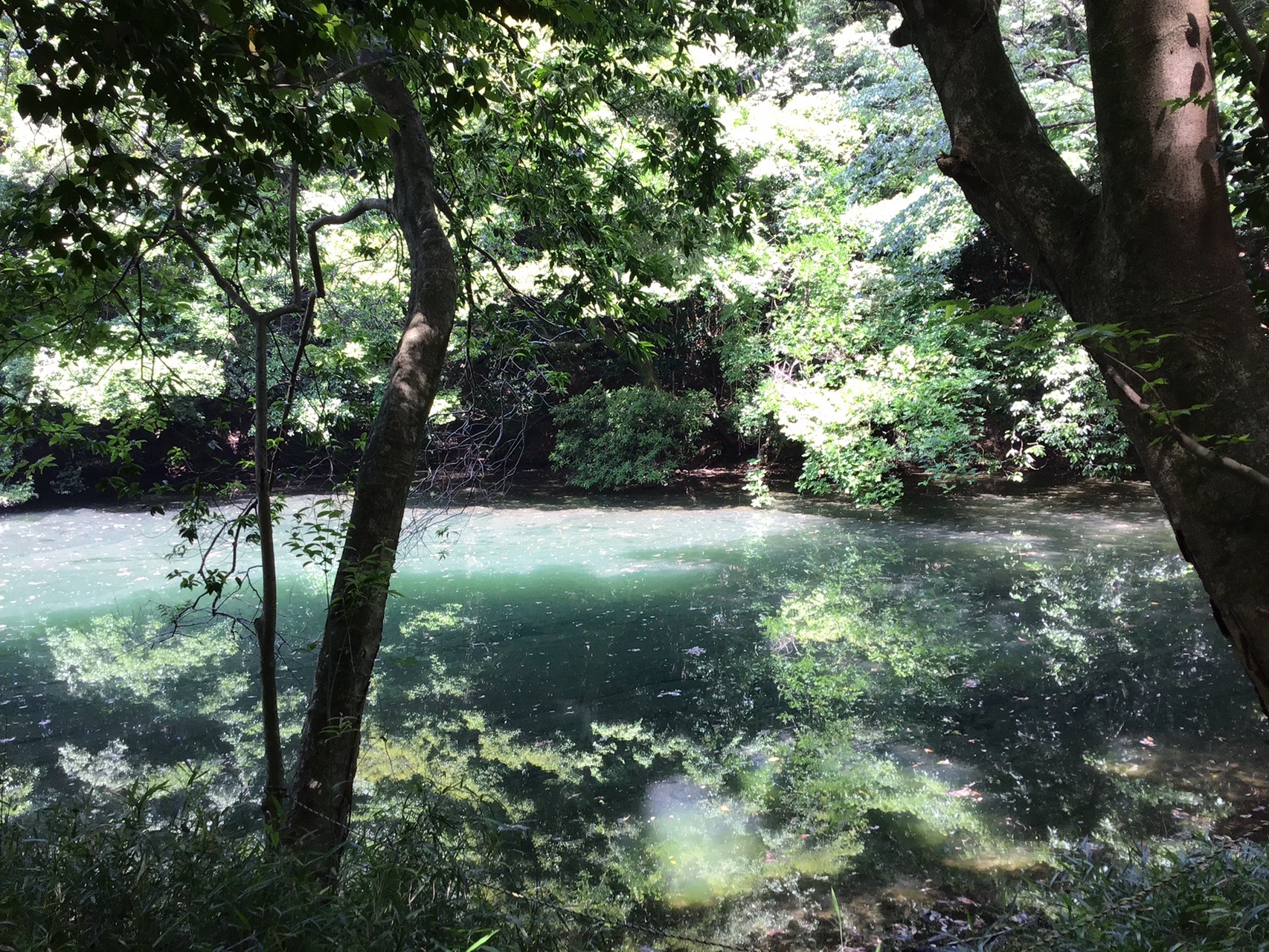 剣立山 城山 ロトネットさんの平尾台 貫山 水晶山の活動日記 Yamap ヤマップ