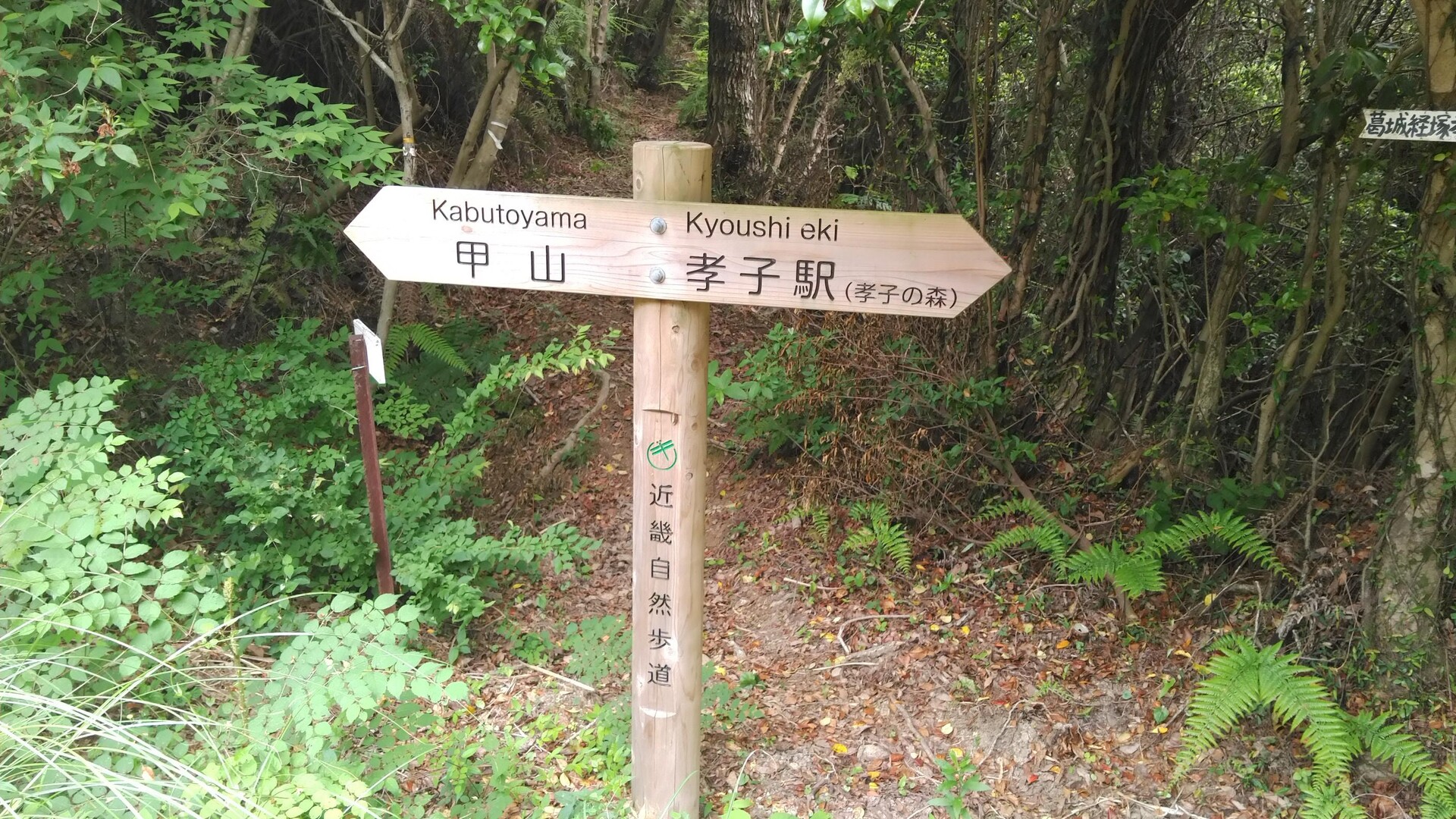 和泉山脈縦走1(リタイア) / れおぽんさんの葛城修験エリアマップ（友ヶ島～和泉山脈周辺）の活動データ YAMAP / ヤマップ