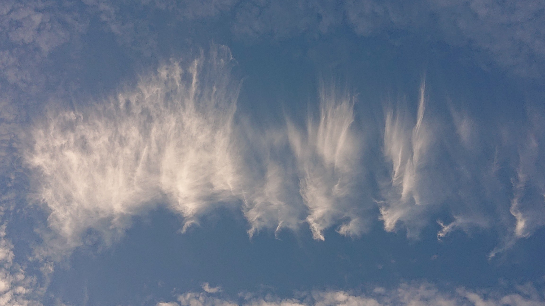 週始めの月曜日 空一杯のいわし雲 巻積雲 Roppai23さんのモーメント Yamap ヤマップ
