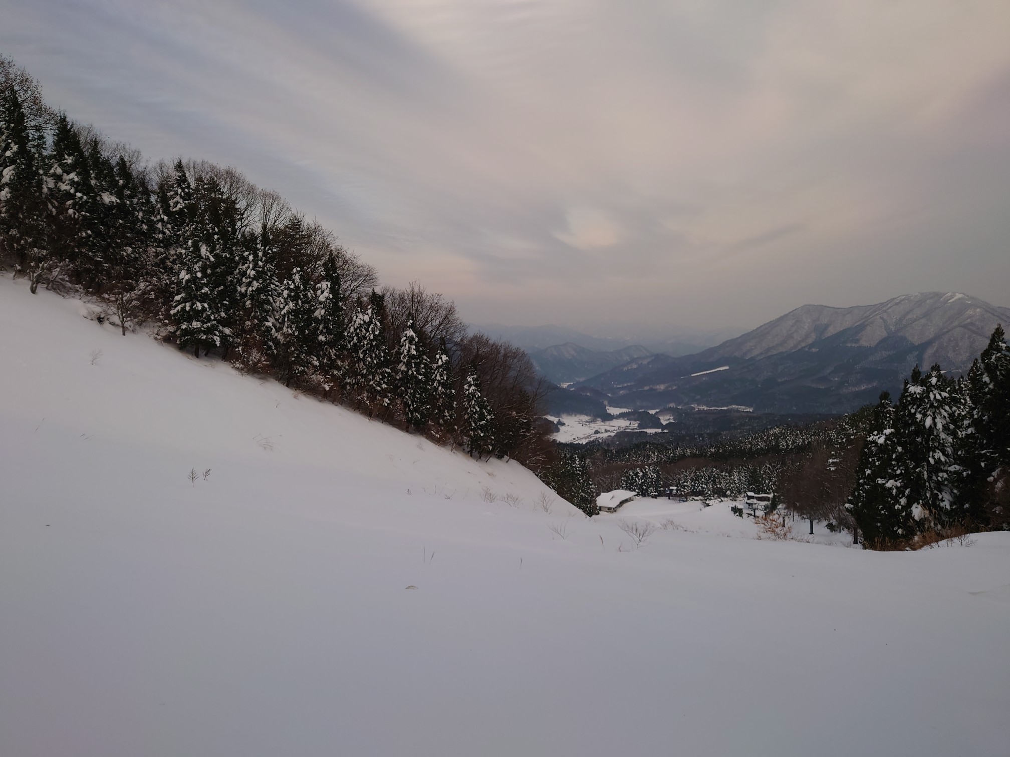 花見山セルフスキー場おーぷん アルヘナさんの花見山の活動データ Yamap ヤマップ