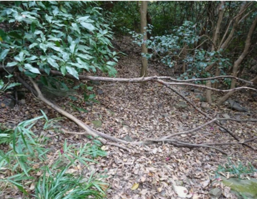 ルート外れ警告機能 の試しと地形図の検証 山のウグイス さんの足立山 戸ノ上山の活動データ Yamap ヤマップ