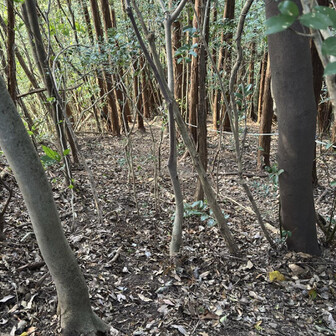 こんな感じの道です。なかなか急です。