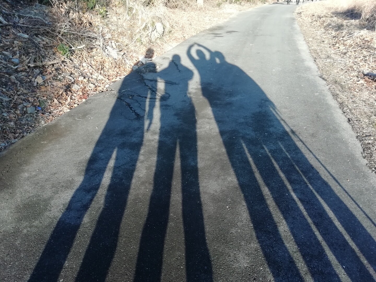 切原峠竜ヶ峠越えて内宮へ👣👣 / みほっちさんの朝熊ヶ岳（朝熊山）・鼓ヶ岳・鷲嶺（袴腰山）の活動データ YAMAP / ヤマップ