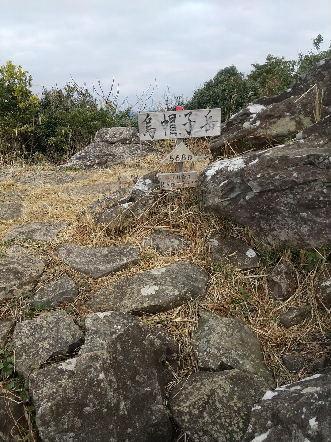 烏帽子岳 / アルプスビーさんの烏帽子岳・木場山の活動データ YAMAP / ヤマップ