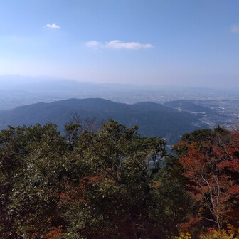 山頂からの四王寺　四王寺のメタセコイアも色付いてきたかな🤔
