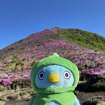 チュチュ