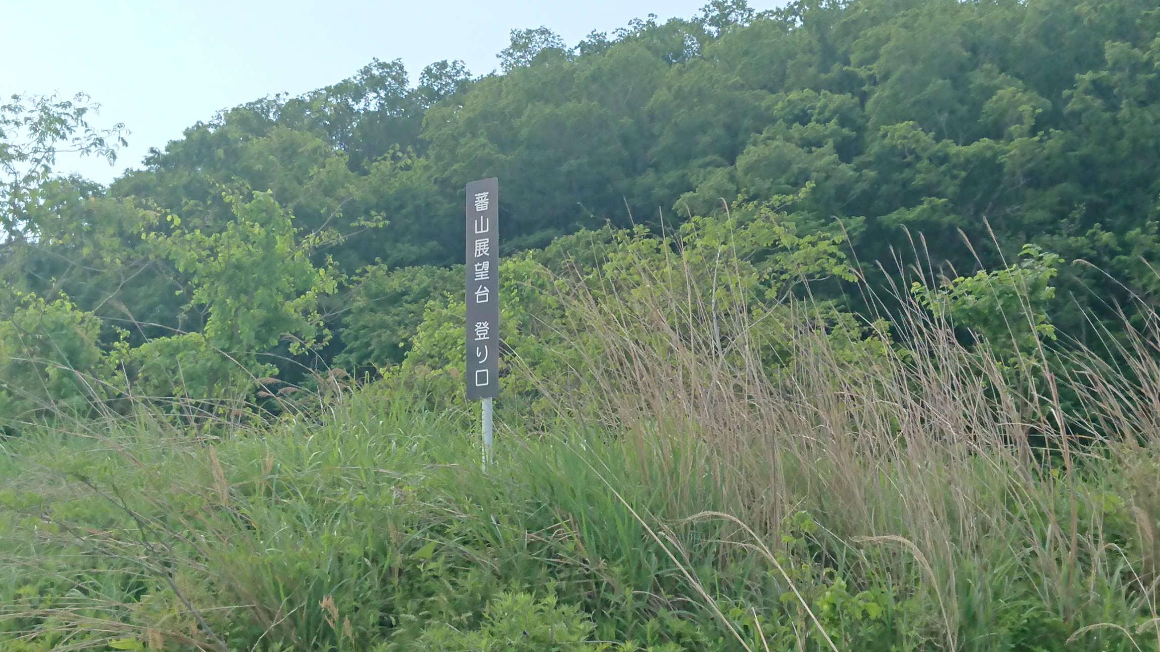 低い山 なぜ遭難 新型コロナで人気高まるも 遭難した人の証言 Nhk事件記者取材note
