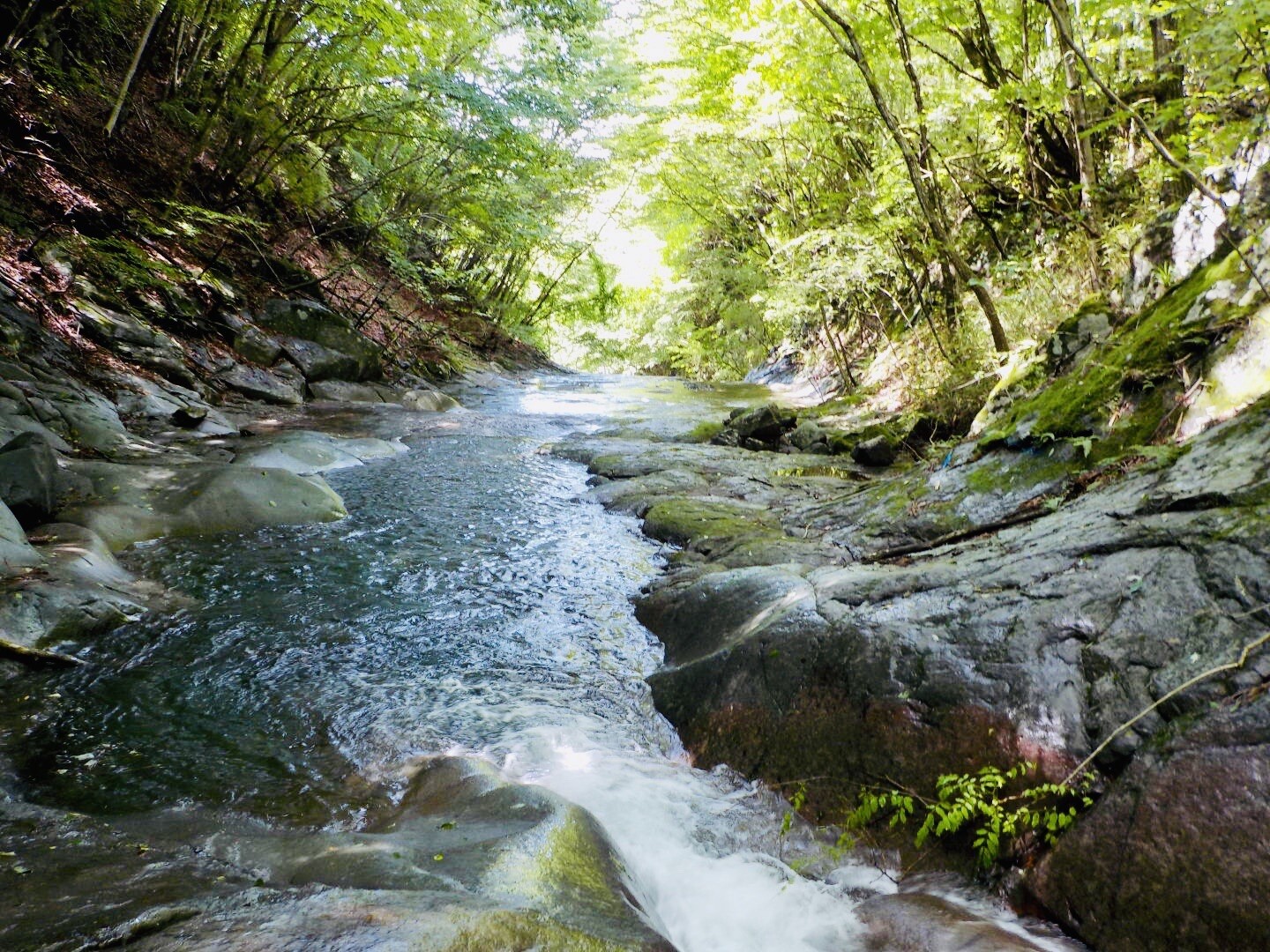 利根川水系赤城川 / アヤさんの赤城山・黒檜山・荒山の活動データ YAMAP / ヤマップ