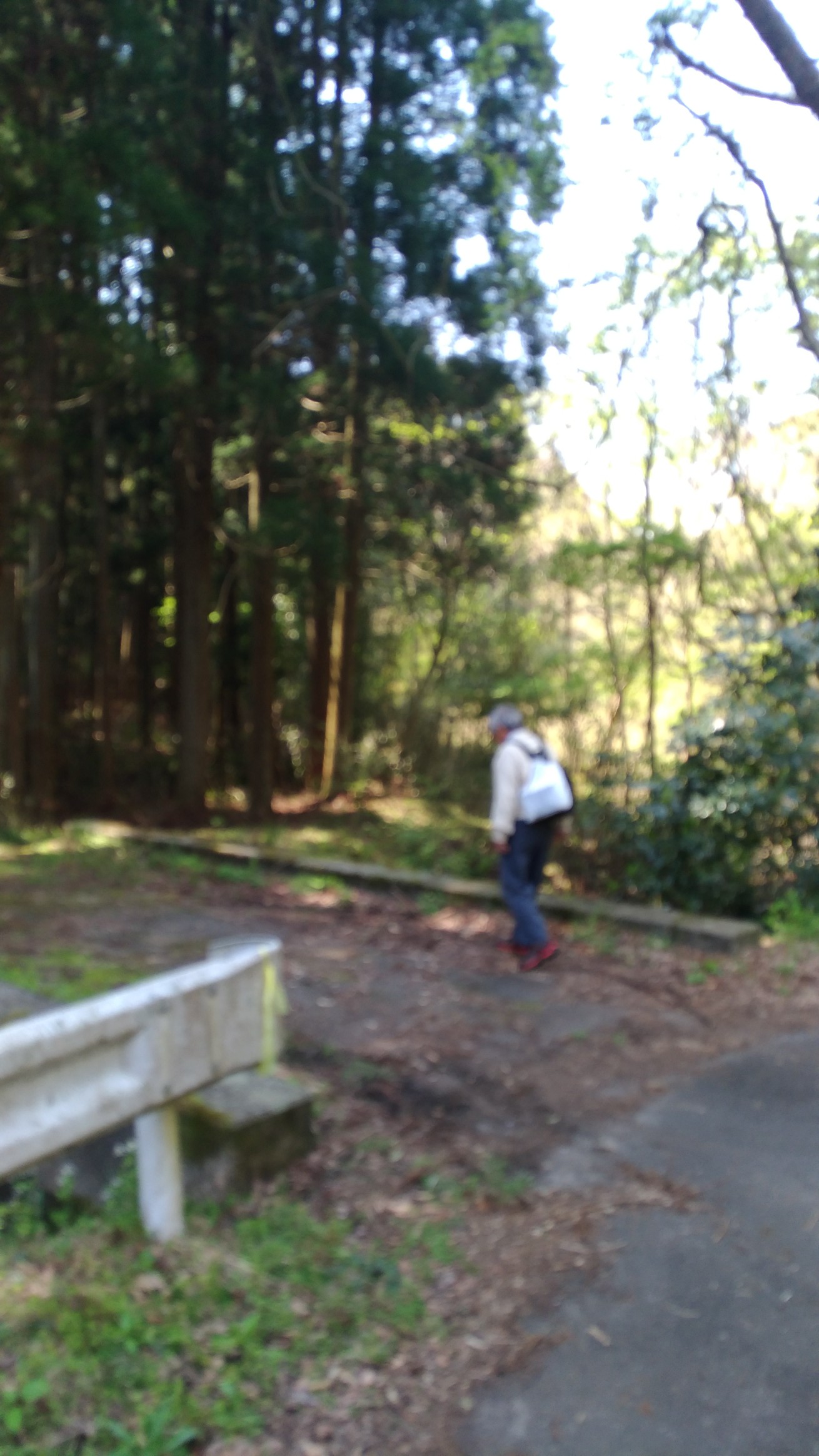 鹿野沢出会から九十九谷 04 08 きりｈｐさんの鹿野山の活動日記 Yamap ヤマップ