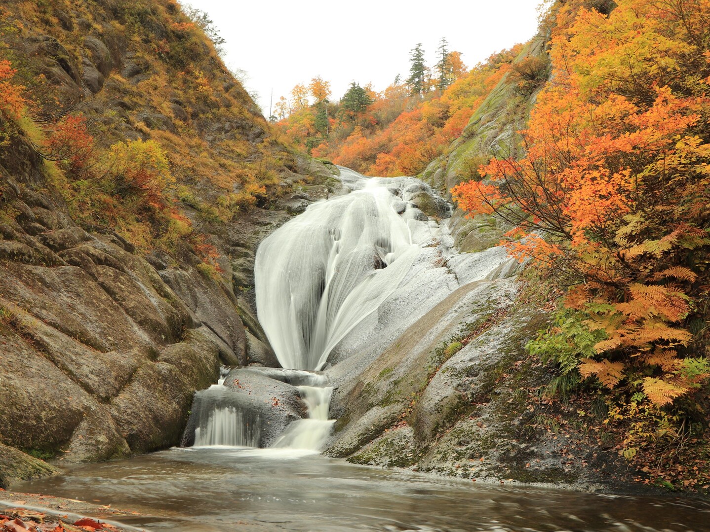桃洞の滝＋ちょっと登山 / つよぽんさんの森吉山の活動データ YAMAP / ヤマップ