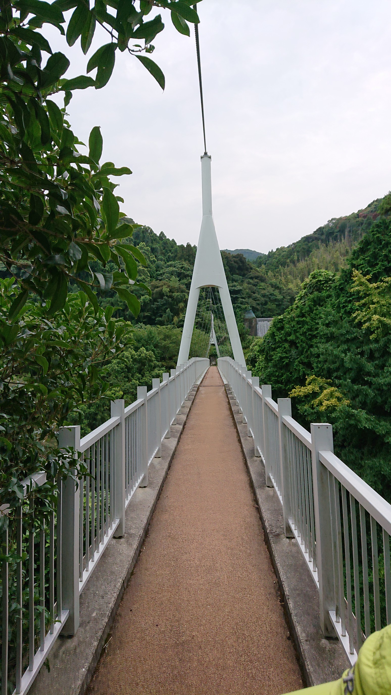 二丈岳 19 08 24 篤山さんの二丈岳 十坊山の活動日記 Yamap ヤマップ