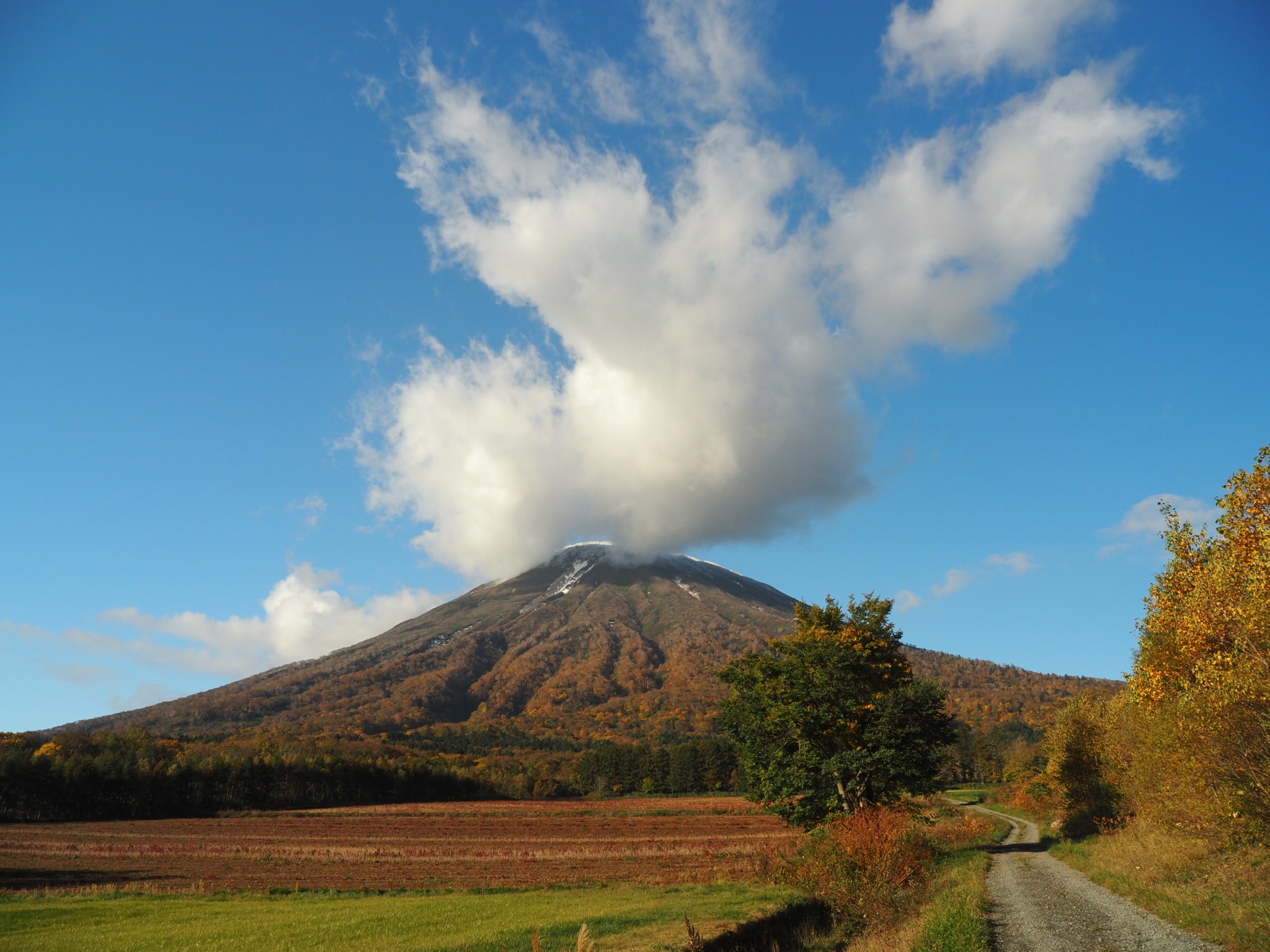 本日のピークは8合目 羊蹄山 京極コース 秋の恵みの白旗山 おっくさんの羊蹄山 蝦夷富士 の活動データ Yamap ヤマップ