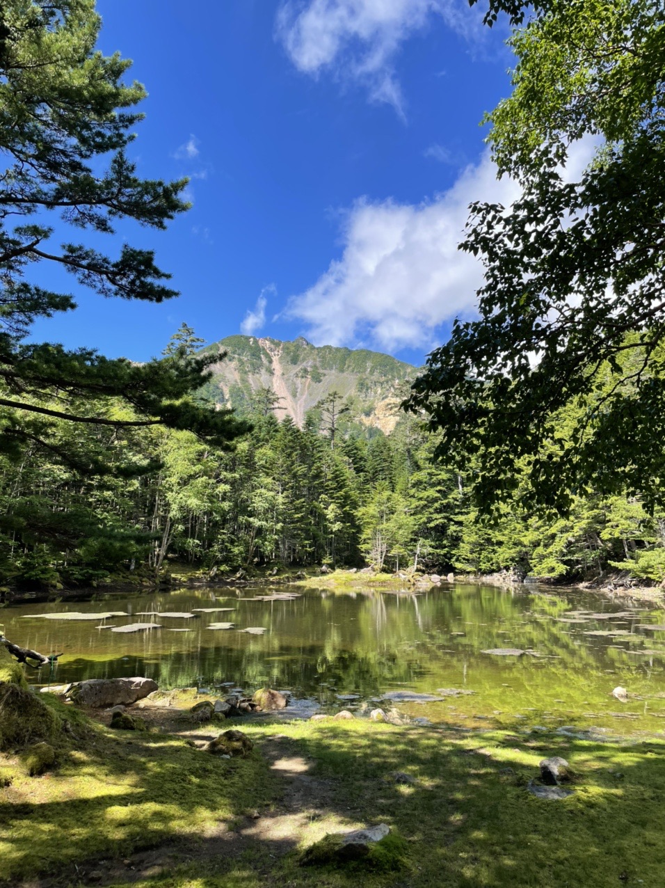 みどり池 シラビソ小屋 かなかよさんの八ヶ岳 赤岳 硫黄岳 天狗岳 の活動データ Yamap ヤマップ