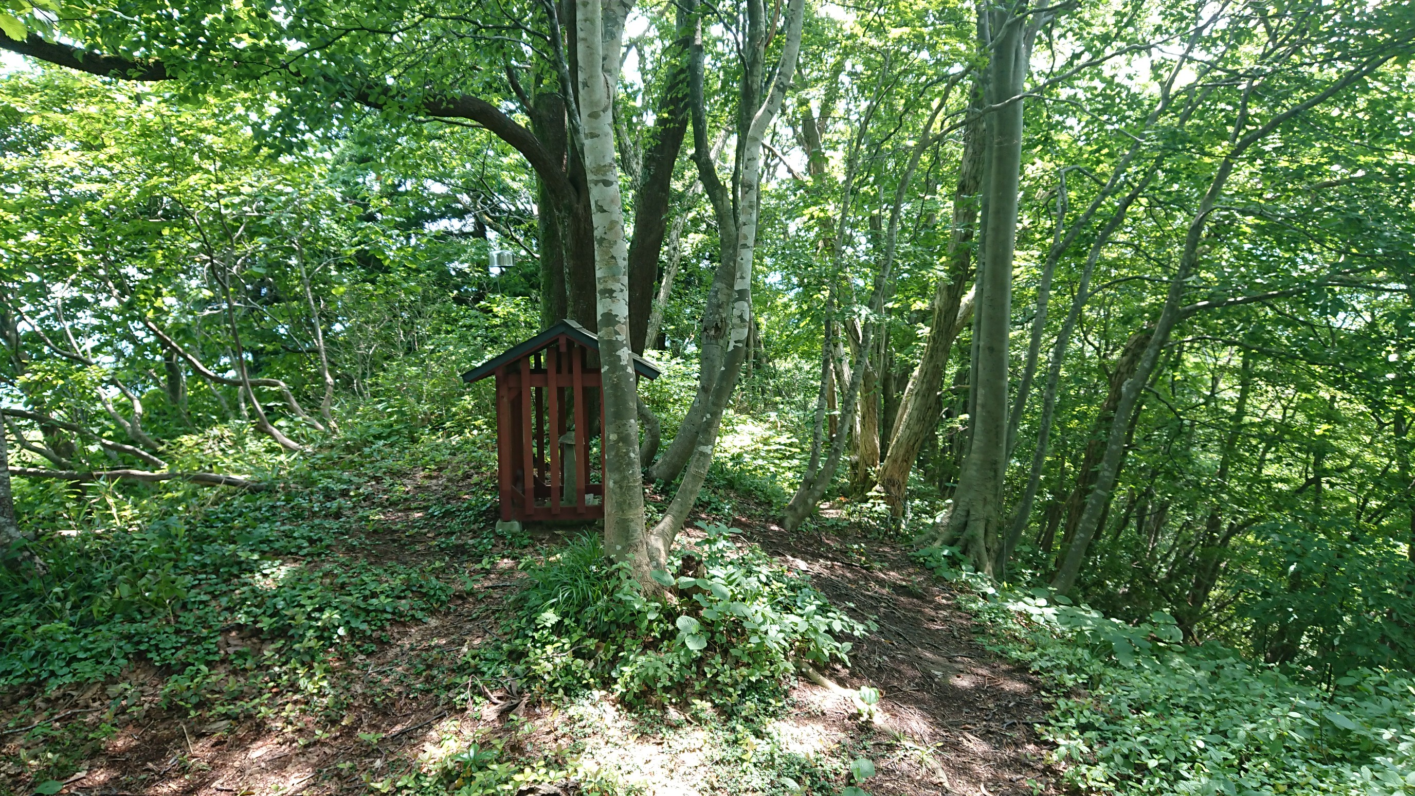 木六山・銀次郎山 かやの木山
ここから先踏みあと状態