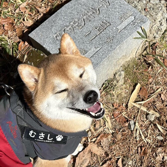 むさし丸