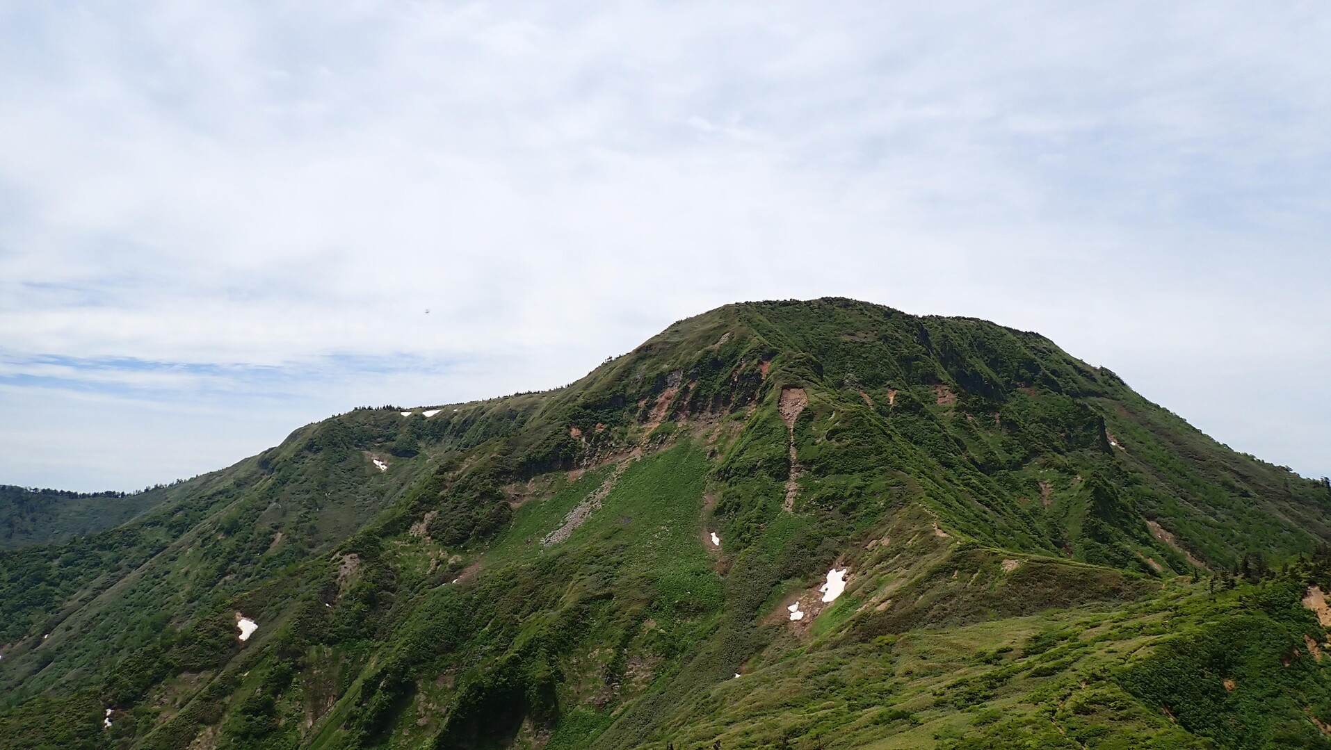 苗場山・高山植物が咲き誇る天空の楽園 / こうじさんの苗場山・赤倉山・佐武流山の活動データ | YAMAP / ヤマップ
