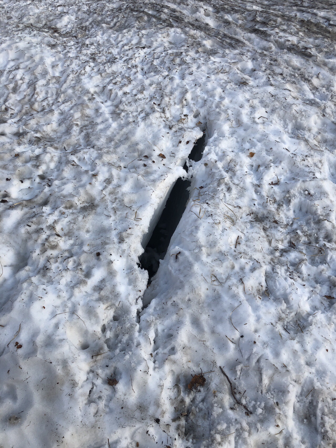 猿倉荘から白馬岳へ初雪山日帰り登山 ぐっさんの白馬岳 小蓮華山の活動データ Yamap ヤマップ