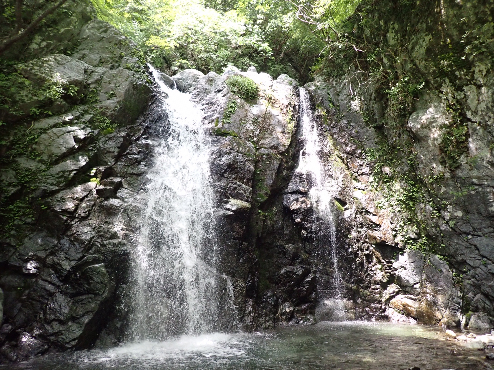水無川中流ww ウォーターウォーキング Tacさんの丹沢山の活動データ Yamap ヤマップ