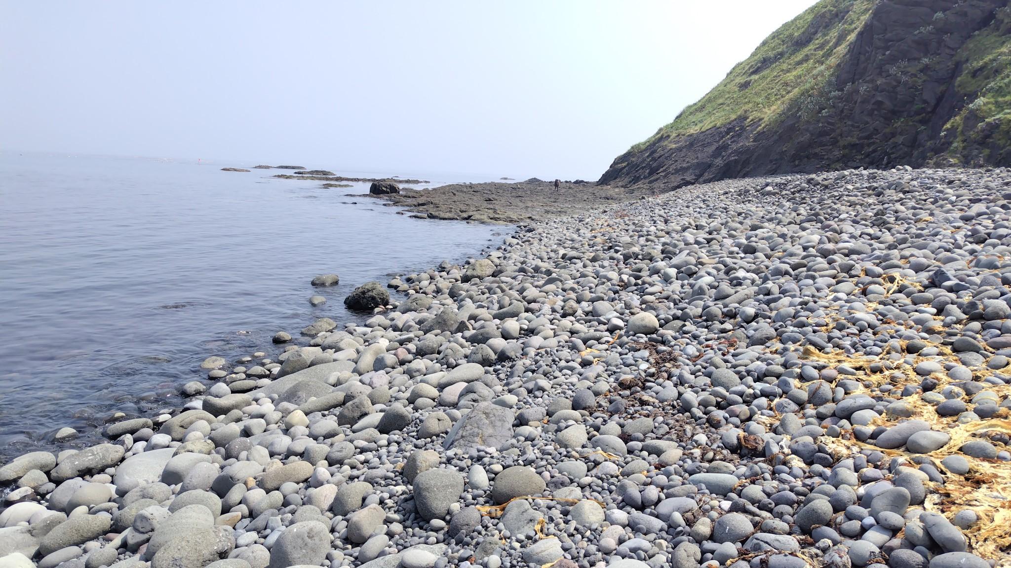 ちなみに、Ｙさんと私の歩くスピードの違いは、この写真と前の写真を見比べていただければわかります。わずか7分でこんなに差がつきます。
Ｙさん、すごすぎます！