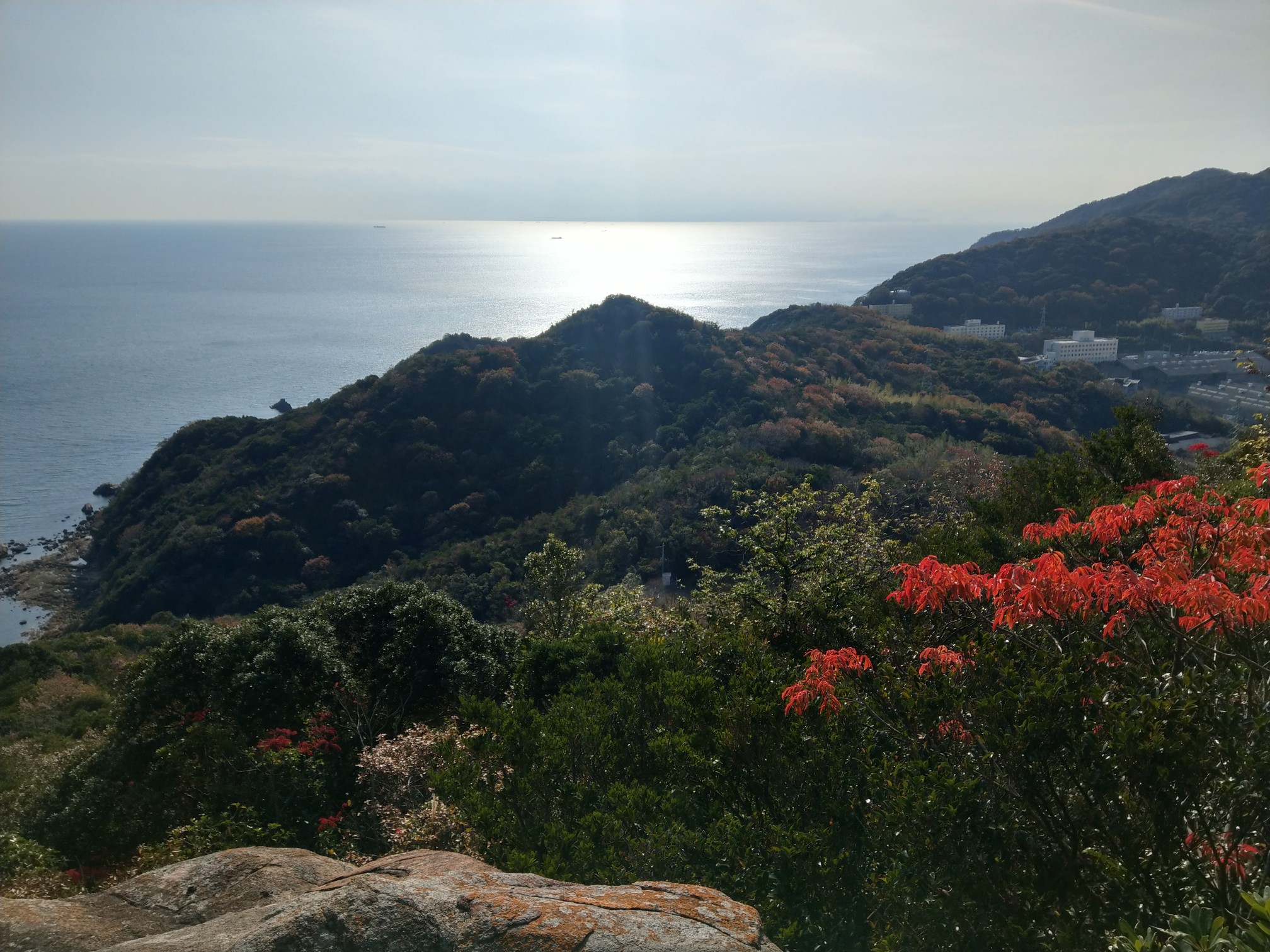 尻高山 高壺山 小深浦山 江ノ浦山 白浜山 奥畑山 山見山 摺鉢山 がびさんの笠戸島 尻高山の活動データ Yamap ヤマップ