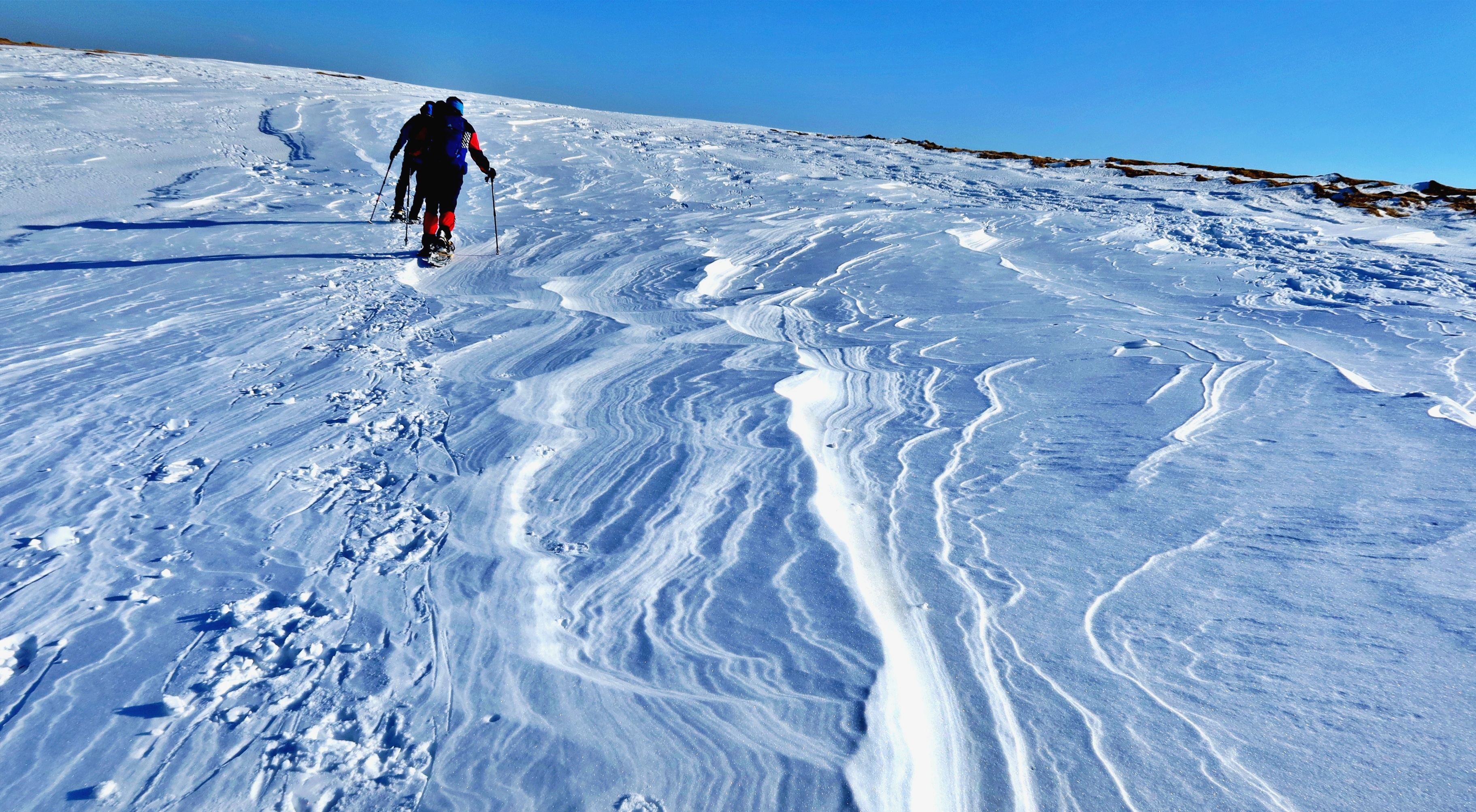 美ヶ原 高原台地の大雪原をスノーシューで行く Kazuさんの美ヶ原の活動データ Yamap ヤマップ