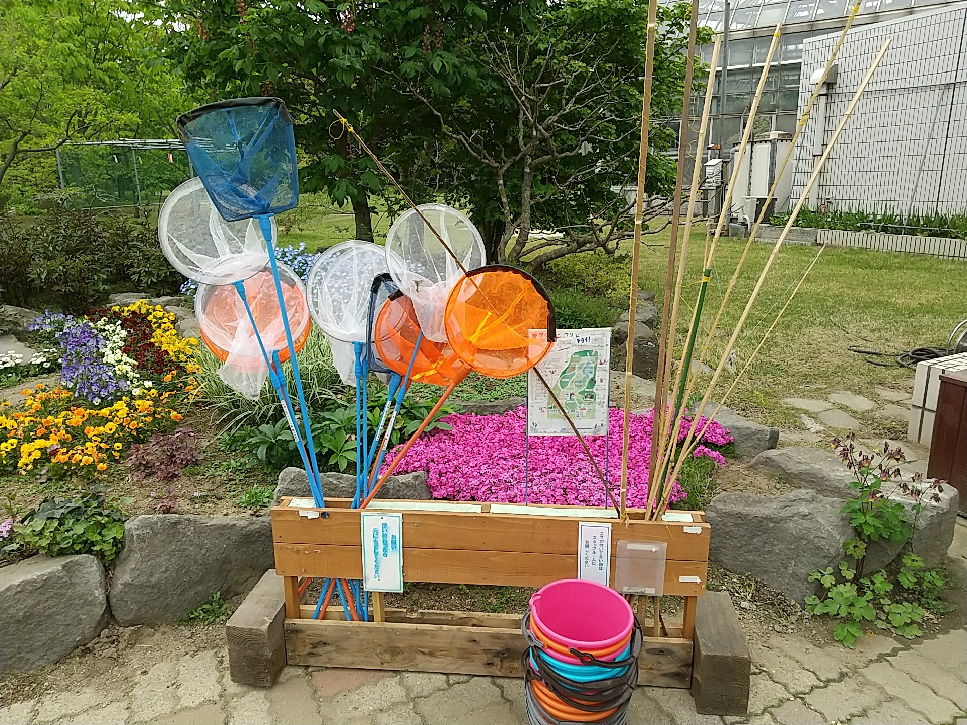 生態系公園 05 16 白猫さんの男鹿半島の活動日記 Yamap ヤマップ