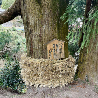 岩湧山・一徳防山・三石山 八幡神社の勧請縄らしい