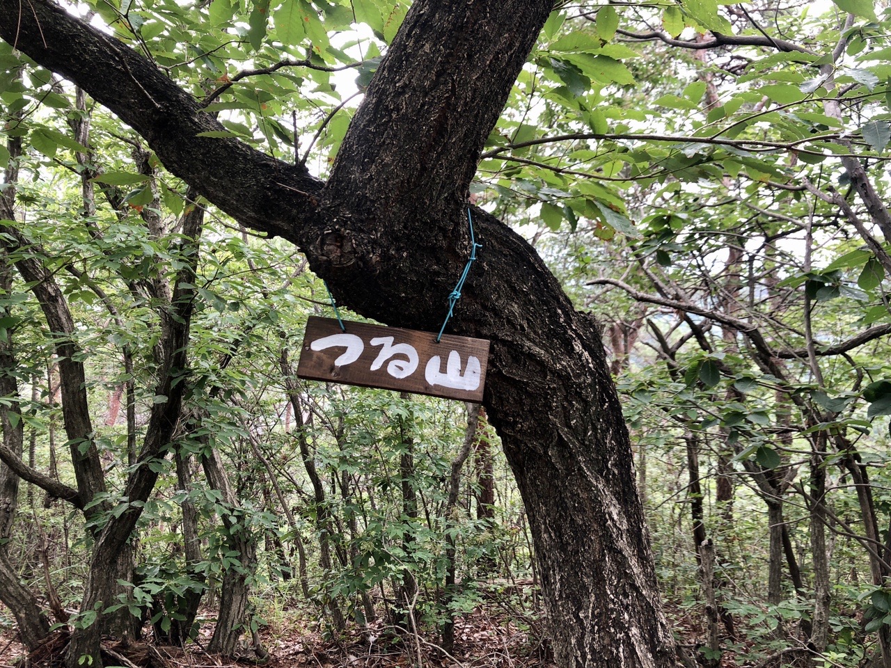 両崖山・仙人ヶ岳・石尊山 つる山火事の