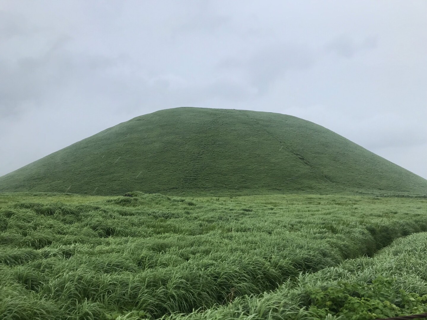 阿蘇 草千里 駒立山 馬ちんさんの阿蘇山 高岳 根子岳の活動日記 Yamap ヤマップ