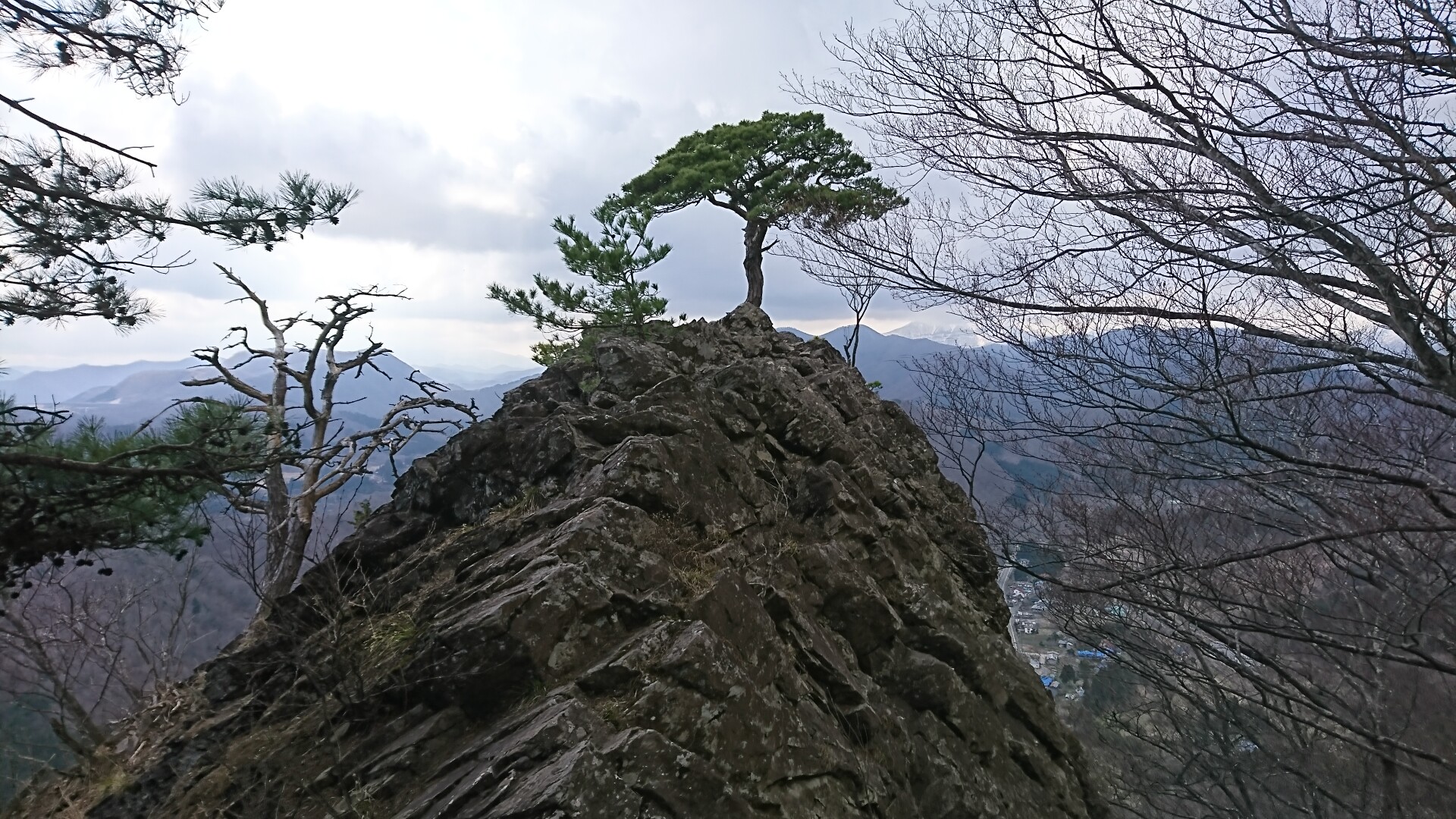 鎌倉山（ゴリラ山） / STEALTHさんの鎌倉山の活動データ YAMAP / ヤマップ
