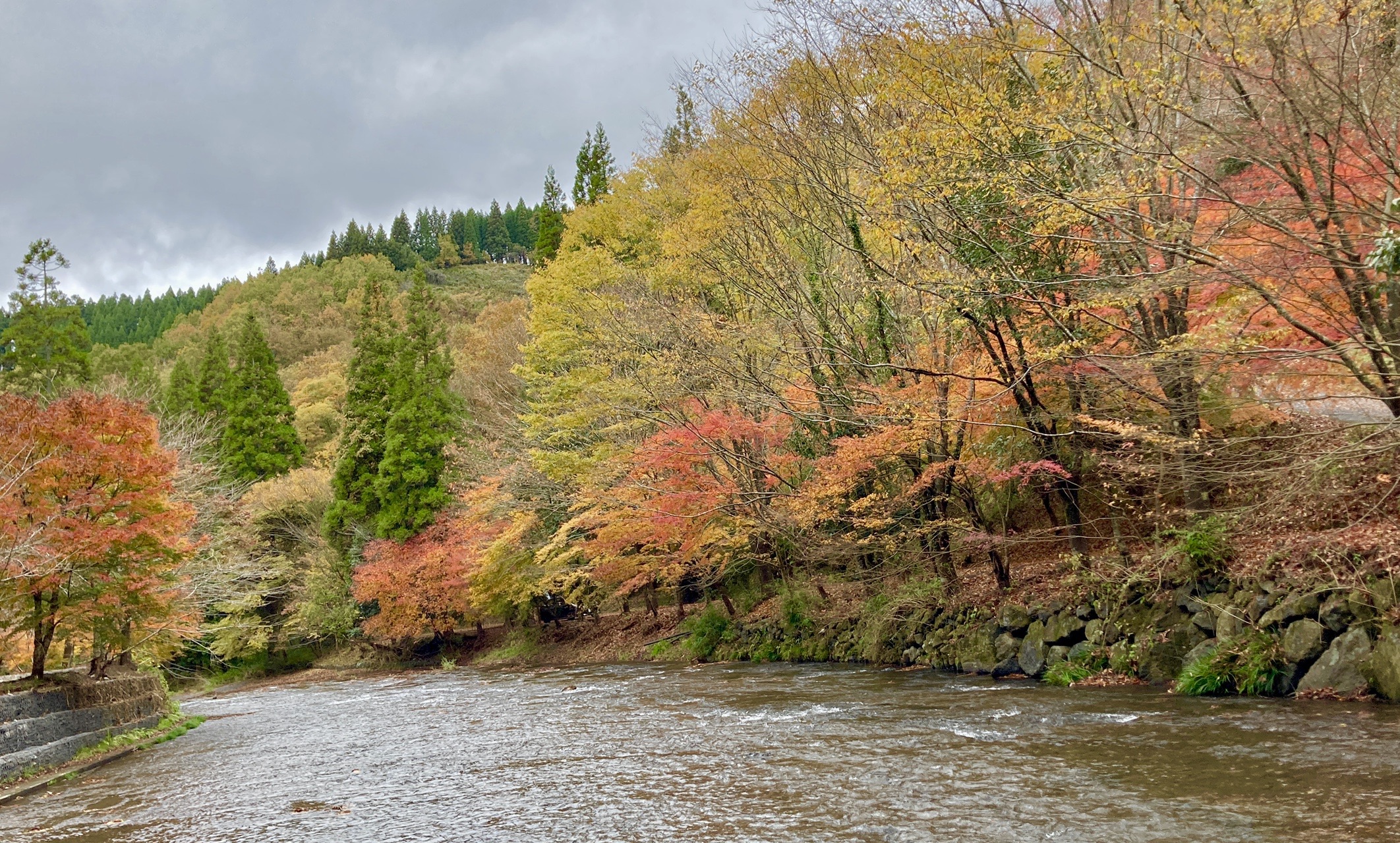 熊本県小国町 遊水峡の紅葉トレッキング スカイウォーカーさんのウォーキングの活動データ Yamap ヤマップ