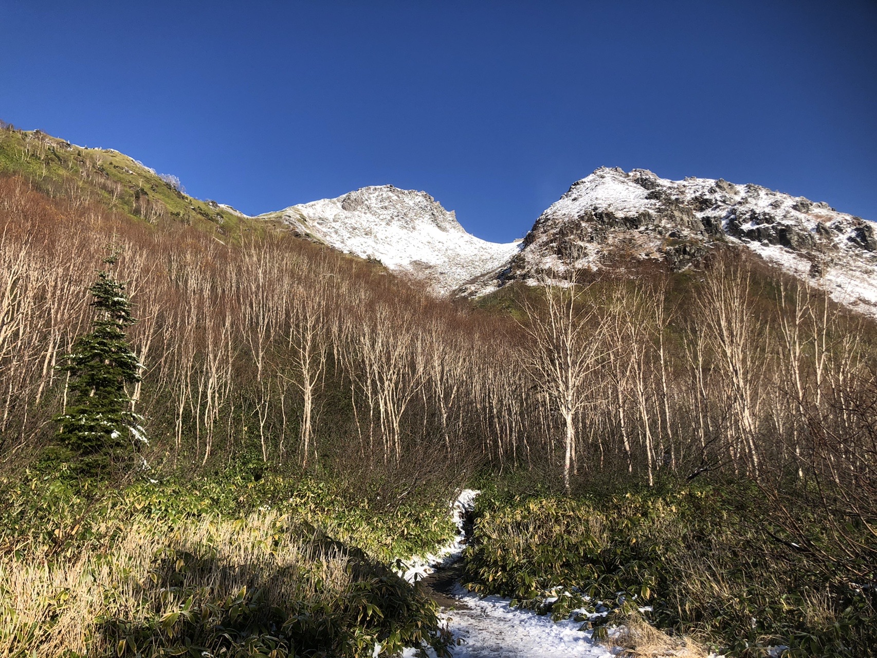 焼岳 北峰 やっすんさんの槍ヶ岳 穂高岳 上高地の活動データ Yamap ヤマップ