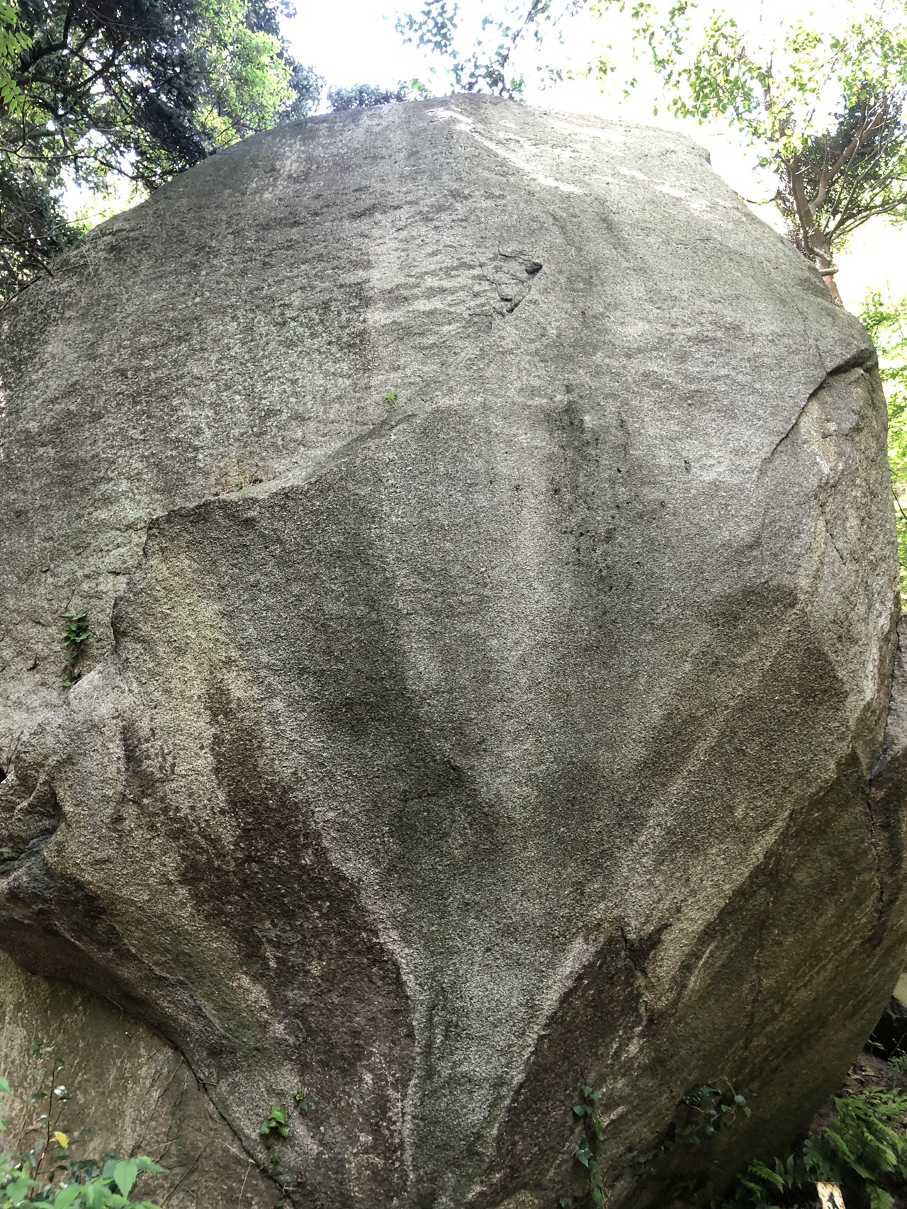 ばくち山 妙見山 登山家風 笑 さんの荘内半島 三崎半島 粟島の活動日記 Yamap ヤマップ